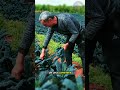 La extraña planta arrugada que se volvió famosa en jugos y dietas 🥬