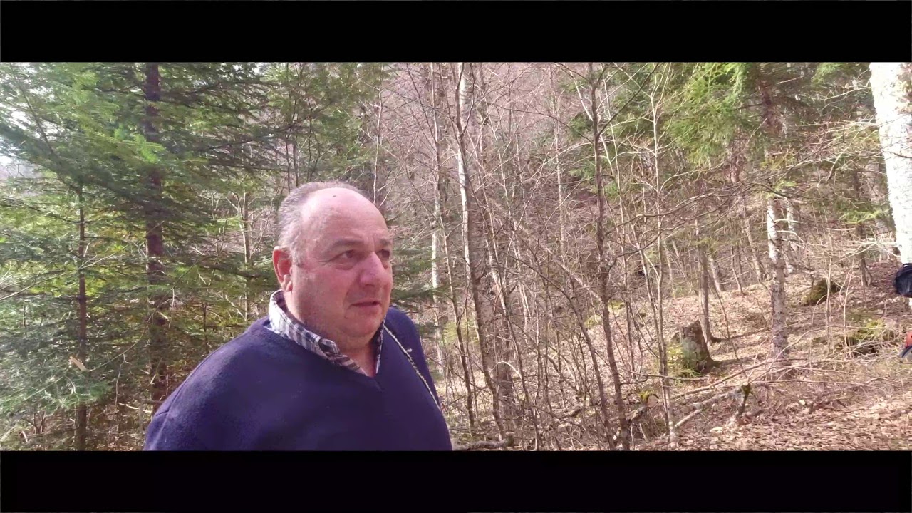 Πεντάλοφος  Βυθός  Φτέρη Παλιομονάστηρο Ταξιαρχών Φτέρης 12:2:2020