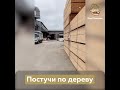 Постучи по дереву