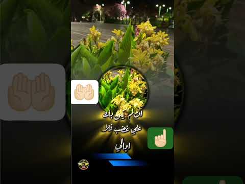 من اعظم الأدعية التي دعا بها النبي عليه الصلاة والسلام يوم اشتد عليه الحزن أحفظه وانشر الدعاء 