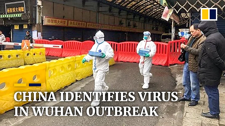 China identifies new coronavirus behind Wuhan pneumonia outbreak - DayDayNews