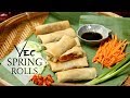 Veg spring rolls recipe easy vegetable spring rolls  yummefy recipes