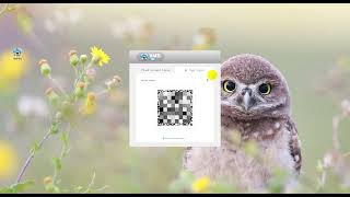 How to Add iCSee Cameras to VMS Pro on PC with QR Code Login screenshot 5