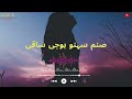 Sanam Suhno Huji Saki /  Shaman Ali Mirali / Shahriyar Ali / New Sindhi Song / Video