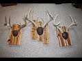 How To Make An Antler Mount