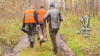 Відкриття полювання 2018-2019 в МСК Сокіл: косуля, кабан, олень