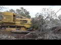 CAT D8 Pushing Trees