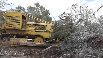 CAT D8 Pushing Trees