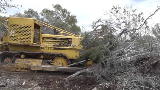 CAT D8 Pushing Trees