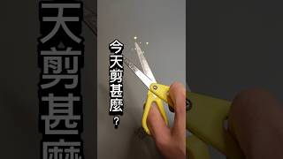 今天剪甚麼?沃森海芋長出花來了⚠️為甚麼要剪⁉️ 因為會搶掉營養,新葉子會長不大😂 來!狠心剪❌❌ 追踪 Rain Forest Plants HK 知道更多#觀葉植物 你應該是做的事 ☺️