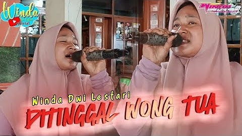 DI TINGGAL WONG TUA || WINDA DWI LESTARI || ANDI PUTRA ONE || EDISI LATIHAN