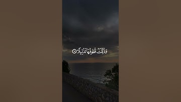 تلاوة عطرة من القارئ عبدالرحمن البلوشي