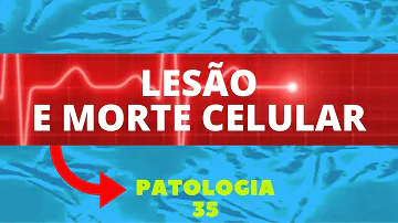 O que pode causar morte celular?
