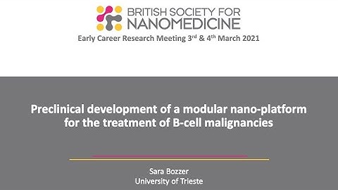 Preclinical development of a modular nano-platform for the treatment of B-cells malignancies