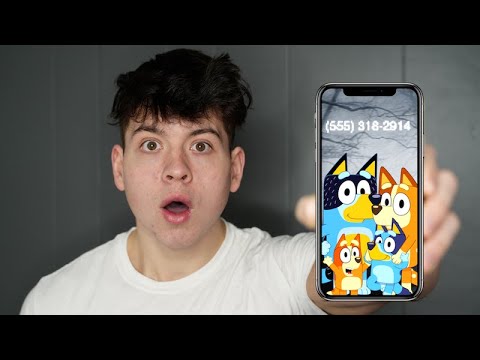 Fallout new vegas почему не запускается. The game was not found. Battlelog web plugins. Fatal error batman. 5 минут later.