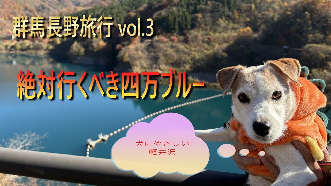 【群馬長野旅行vol.3】四万ブルーが綺麗過ぎてビックリ‼️犬連れに優しい軽井沢