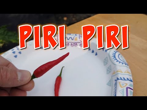 Vidéo: Piment Piri Piri