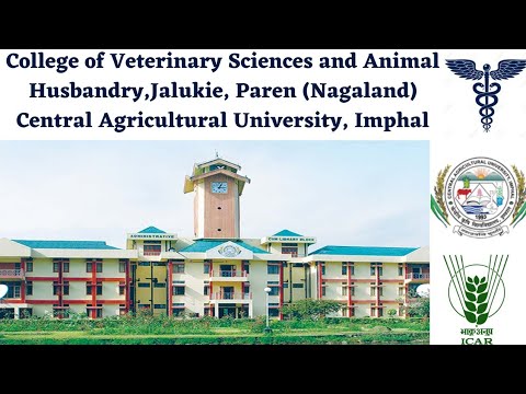 College of Veterinary Sciences and Animal Husbandry,Jalukie, Paren Nagaland  || CAU, Imphal Campus - YouTube
