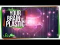 Your Brain is Plastic