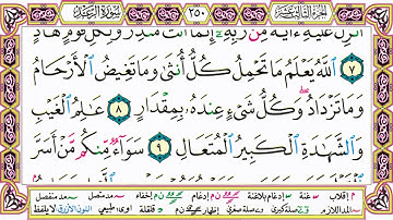 القرآن الكريم مقسم صفحات   الشيخ حاتم فريد   سورة الرعد   صفحة 250 مكتوبة   مصحف التجويد الملون 720p