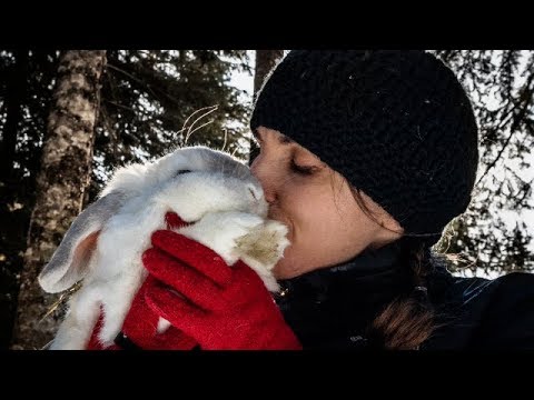 Bunny and Doggy play in snow - YouTube