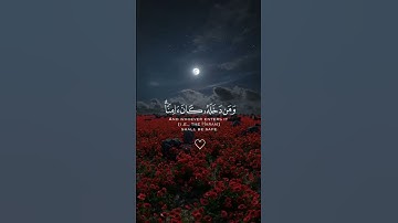القارئ : عبدالله الموسى #quran #قران_كريم #راحة_نفسية #اكسبلور #اكسبلور_فولو #عبدالله_الموسى