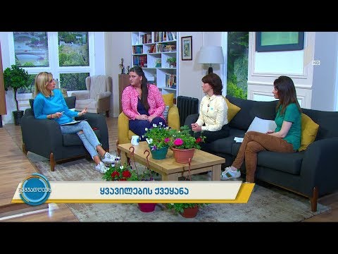 #ნაშუადღევს ყვავილების ქვეყანა