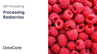 OctoCore Frozen - IQF Berries: Raspberry