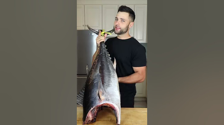 Dry Aged Tuna Sushi ($4,000!!) #shorts