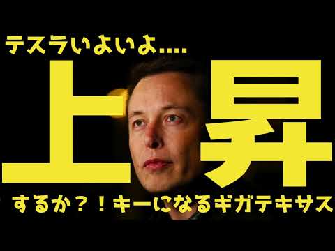 【驚愕】テスラの株価に最も影響するギガテキサスの全容を暴きます | テスラ株全力ちゃんねるのタイツ #10
