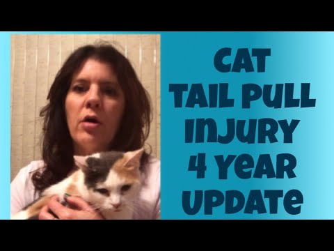 Video: Why You Can't Pull A Cat By The Tail