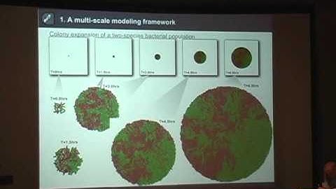 Bacterial Community Assembly: From Social Interactions to Spatial Structures-Ting Lu