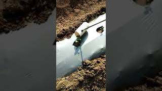 New Soil Drenching Method