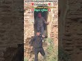 Bihar police physical daudnagar #shortvideos #trending #mo-9973820136