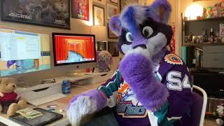 Ask A Raccoon: Fursona and how to get a Fursuit!