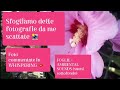 Asmr Ita 💝 Sfogliamo delle fotografie da me scattate commentate in WHISPERING 👄 😴