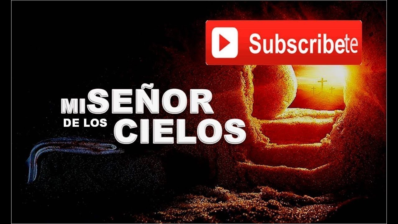 Ver El Señor De Los Cielos 8 Capitulo 1 Completo