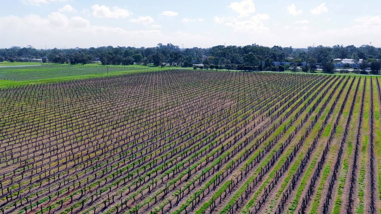 Our State On A Plate - Sandalford Winery