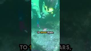 Lost City Dwarka Found In Water