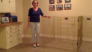 Best flooring for indoor dog kennel businesses: How To Choose The Right Option For Your Kennel