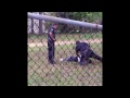 DONNÉES VIDÉO BRUTES: Michael Slager tire 8 balles dans le dos de Walter Scott, non armé.