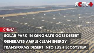 Solar Park In Gobi Desert Generates Ample Clean Energy, Transforms Desert Into Lush Ecosystem