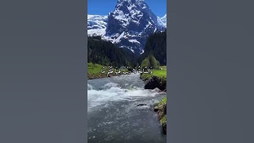 واتس اب قران كريم القارئ احمد خضر (سوره الجاثية)