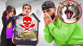 My Cat Killed His Pet Bird Prank!! *GONE WRONG*