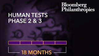 Why do Vaccines Take so Long to Develop? | Mike Bloomberg Net Worth