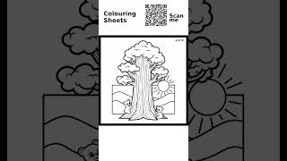 Sequoia Tree Forest Coloring Book - USA Landscapes #nature #unitedstates #kids