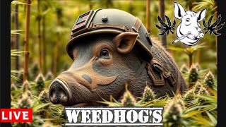 WEEDHOGS#34