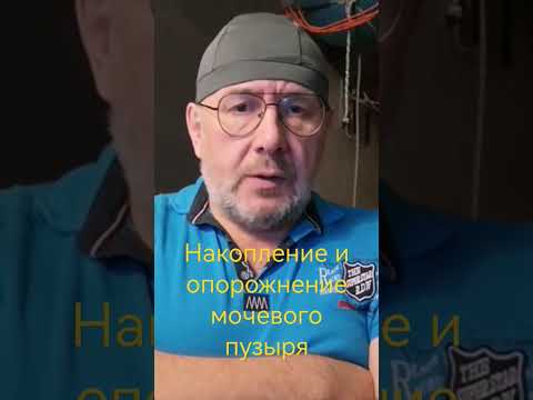 Основы нейроурологии от