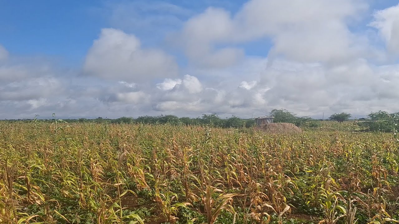 BEER IIB AH OO SARAN LAMIGA AFGOYE IYO CARBISKA U DHAXEYO