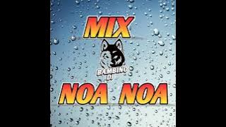 MIX NOA NOA SOLO ÉXITOS DE ORO🇦🇷 •●Bambinodj●•